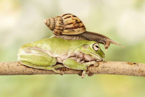 Táhnete na zádech cizí starosti? Vozí se po Vás někdo?